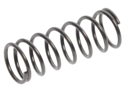 Ремкомплект для шприца JTC-5551 (10) пружина JTC